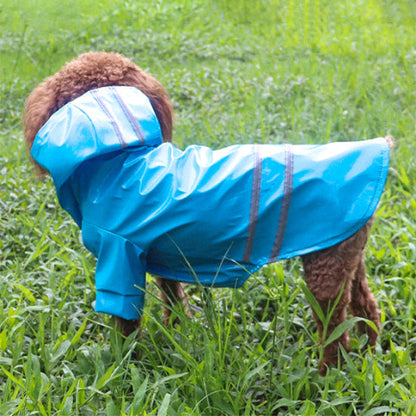 chien qui porte le manteau pour chien bleu elegant