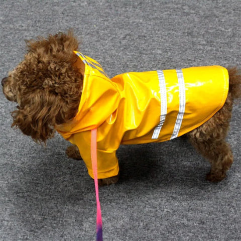 chien qui porte le manteau pour chien jaune essentiel