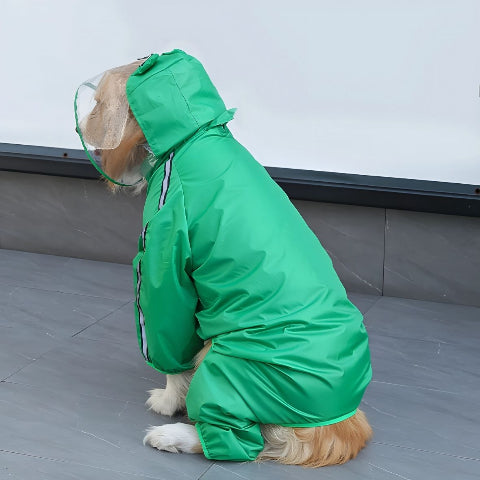 chien qui porte le manteau pour chien pluvinou indispensable