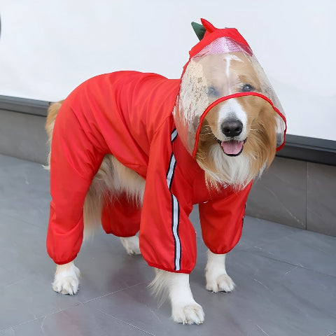 chien qui porte le manteau pour chien pluvinou rouge avec jolies coutures