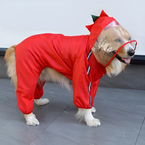 chien qui porte le manteau pour chien pluvinou rouge impermeable