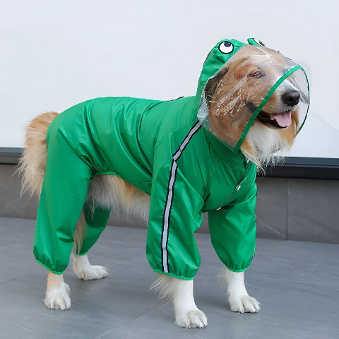 chien qui porte le manteau pour chien pluvinou vert avec jolies coutures