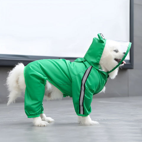 chien qui porte le manteau pour chien pluvinou vert securitaire