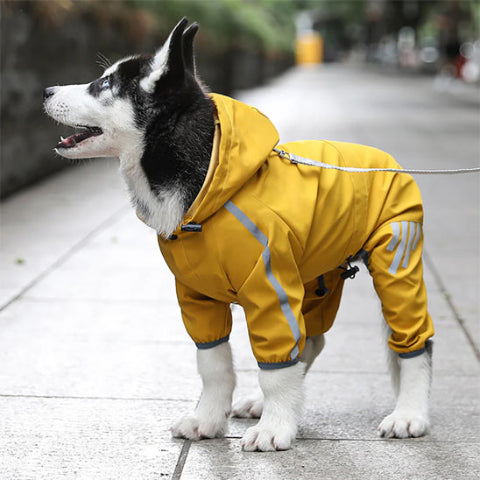 chien qui porte le manteau pour chien raincoat jaune impermeable
