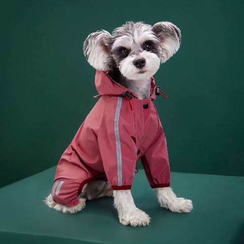 chiot qui porte le manteau pour chien raincoat rose de bonne qualite