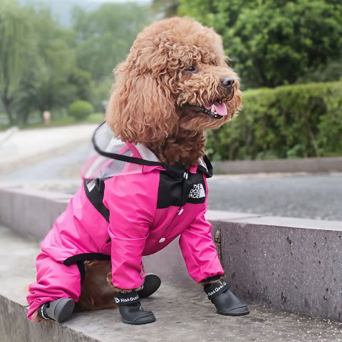 chien qui porte le manteau pour chien safepet rose essentiel