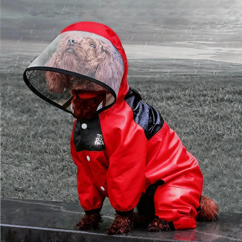 chien qui porte le manteau pour chien safepet rouge adorable