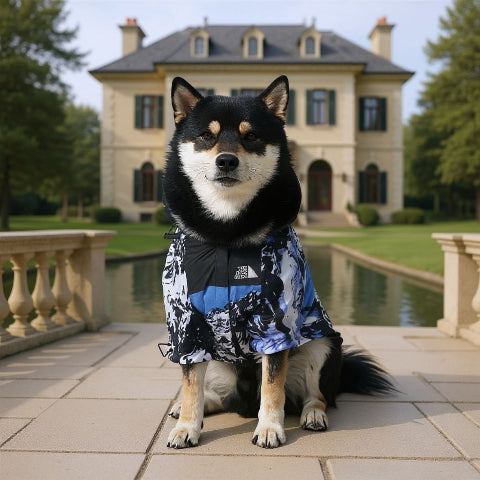 chien qui porte le manteau pour chien the dog face snoberg de qualite