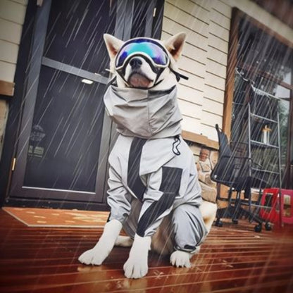 chien qui porte le manteau pour chien thermoprotect