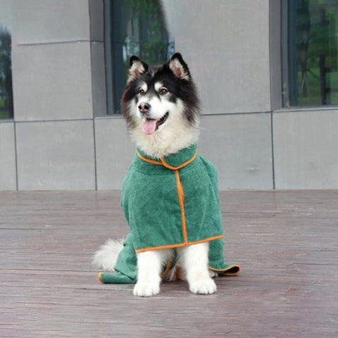 chien qui porte le peignoir pour chien confortable
