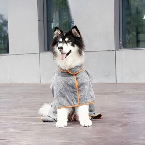 chien qui porte le peignoir pour chien gris