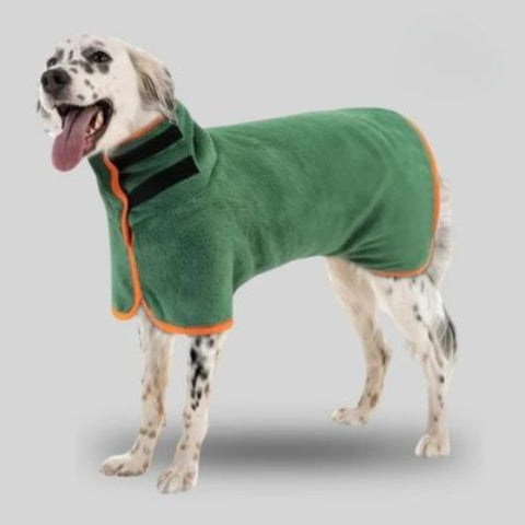 chien qui porte le peignoir-pour chien vert joli