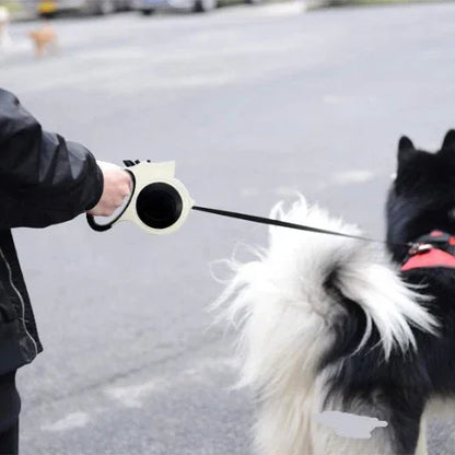 chien qui se promene avec laisse pour chien rectractable eclairee