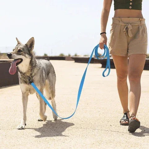 chien qui se promene avec une fille et qui porte la laisse pour chien longecanine