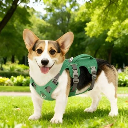 berger allemand qui porte le harnais chien triple sangle avec poignee vert elegant