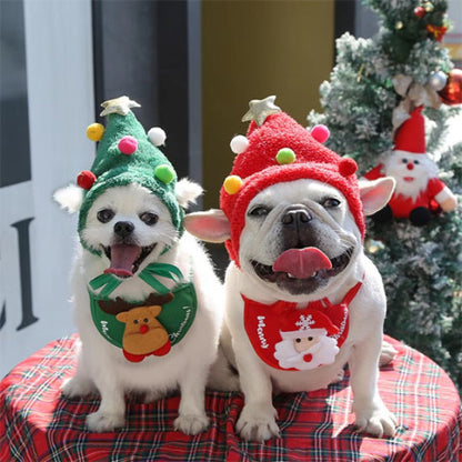 chiens qui portent le deguisement chien christmas adorable