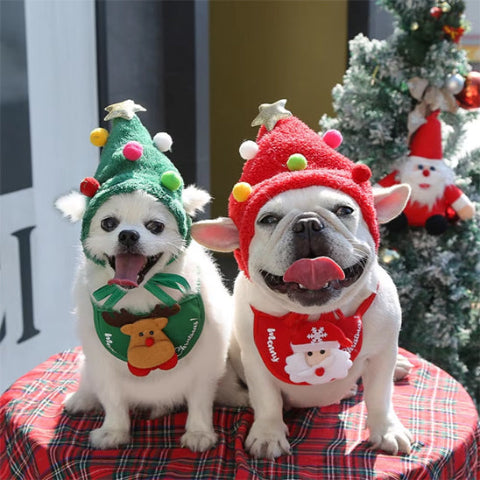 chiens qui portent le deguisement chien christmas adorable