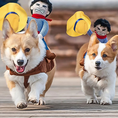 chiens qui portent le deguisement chien cowboy essentiel