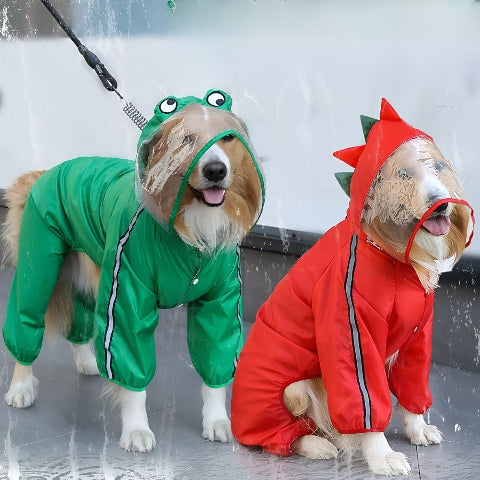 chiens qui portent le manteau pour chien pluvinou rouge et vert propre