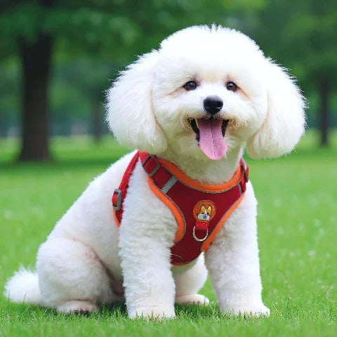 chiot qui porte le harnais petit chien Gilet sans traction rouge reglable