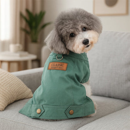 chiot qui porte le manteau chien denim vert tres beau