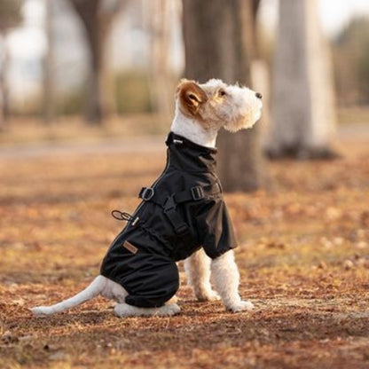 chiot qui porte le manteau chien noir tres essentiel