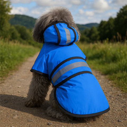 chiot qui porte le manteau pour chien bleu adorable