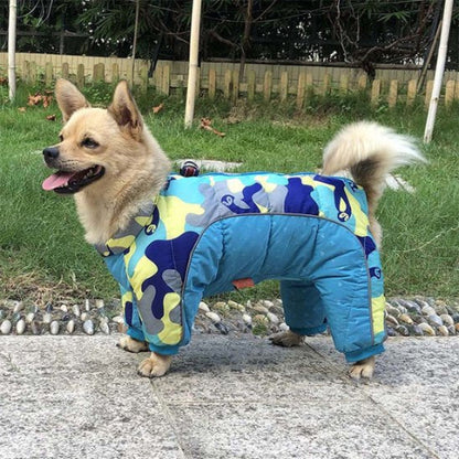 chiot qui porte le manteau pour chien impermeable