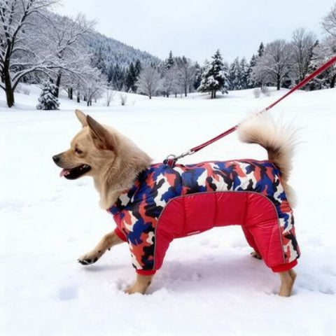 chiot qui porte le manteau pour chien impermeable essentiel