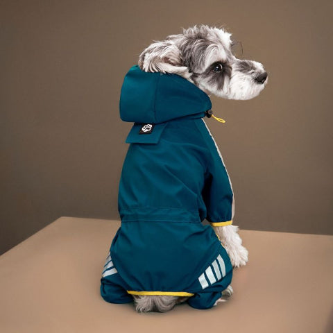 chiot qui porte le manteau pour chien raincoat bleu chic