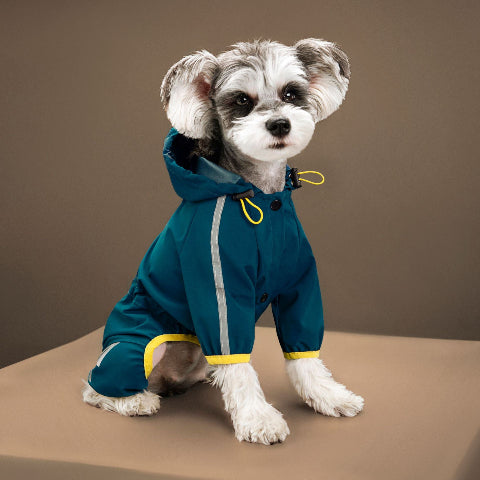 chiot qui porte le manteau pour chien raincoat bleu elegant