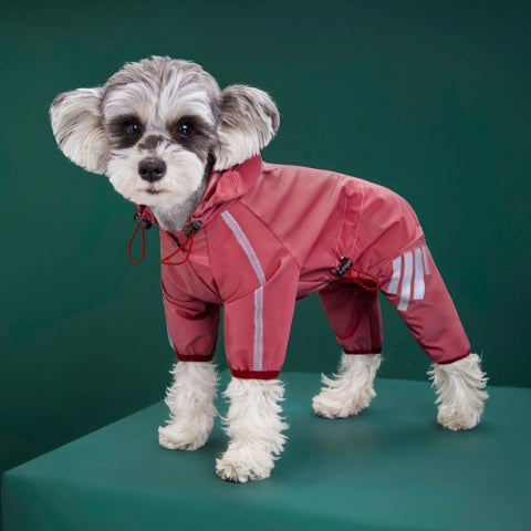 chiot qui porte le manteau pour chien raincoat exceptionnel