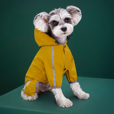 chiot qui porte le manteau pour chien raincoat jaune essentiel