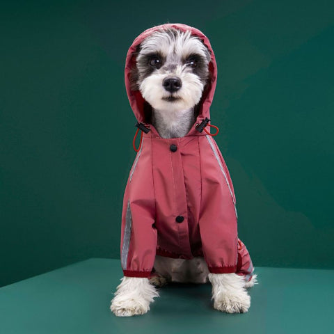 chiot qui porte le manteau pour chien raincoat rose pratique