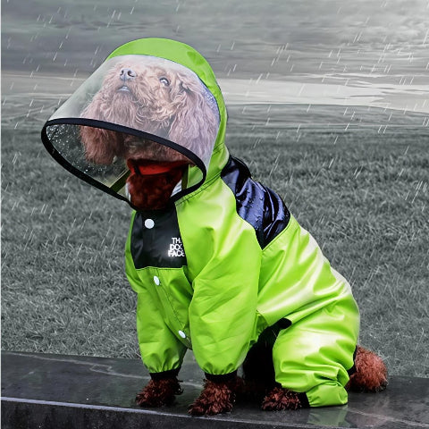 chiot qui porte le manteau pour chien safepet vert de bonne qualite