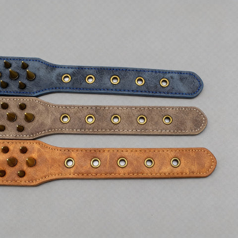 collier a clou pour chien avec conception durable et robuste