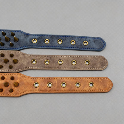 collier a clou pour chien avec conception durable et robuste