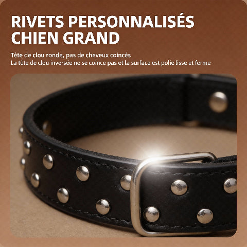 collier a clou pour chien avec elegance affirmee