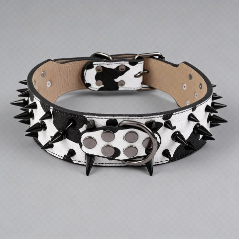 collier a clou pour chien blanc durable