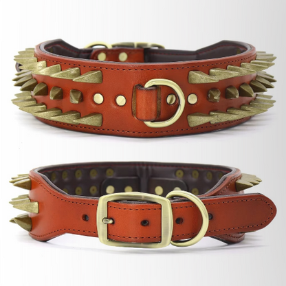 collier a clou pour chien brun chic