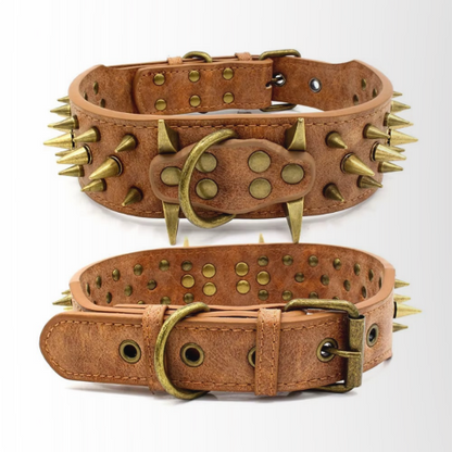 collier a clou pour chien brun