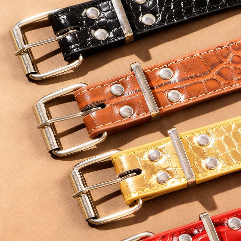 collier a clou pour chien en PU resistant