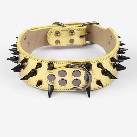 collier a clou pour chien gold robuste