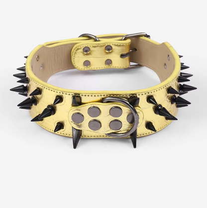 collier a clou pour chien gold robuste