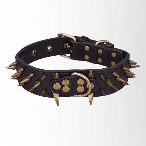 collier a clou pour chien noir ajustable