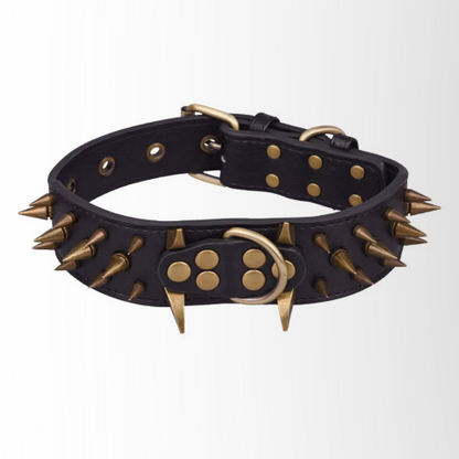 collier a clou pour chien noir ajustable