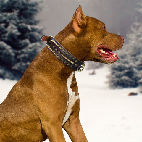 collier a clou pour chien protection avec esthetique joli