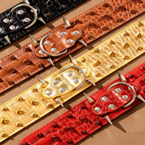collier a clou pour chien protection ideale