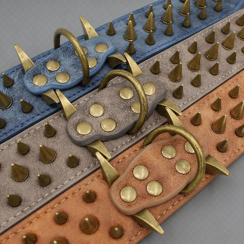 collier a clou pour chien securitaire et robuste