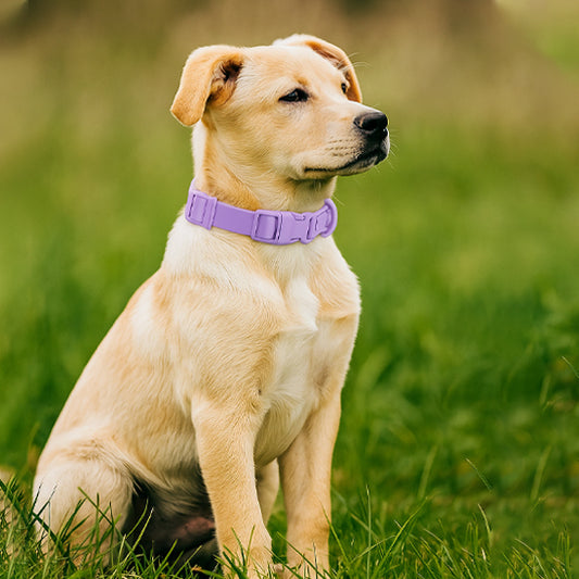 COLLIER CHIEN | PVC EN MACARON